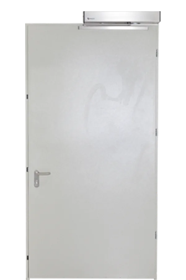 FW30 Model fire door