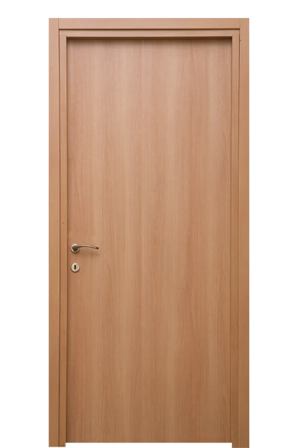 Millennium interior door