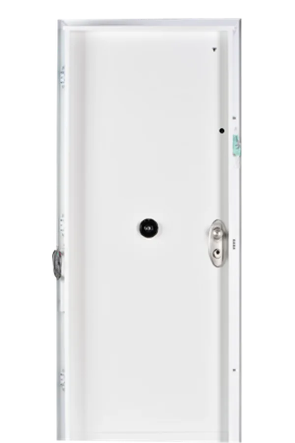 RB Defense Entry Door high security door