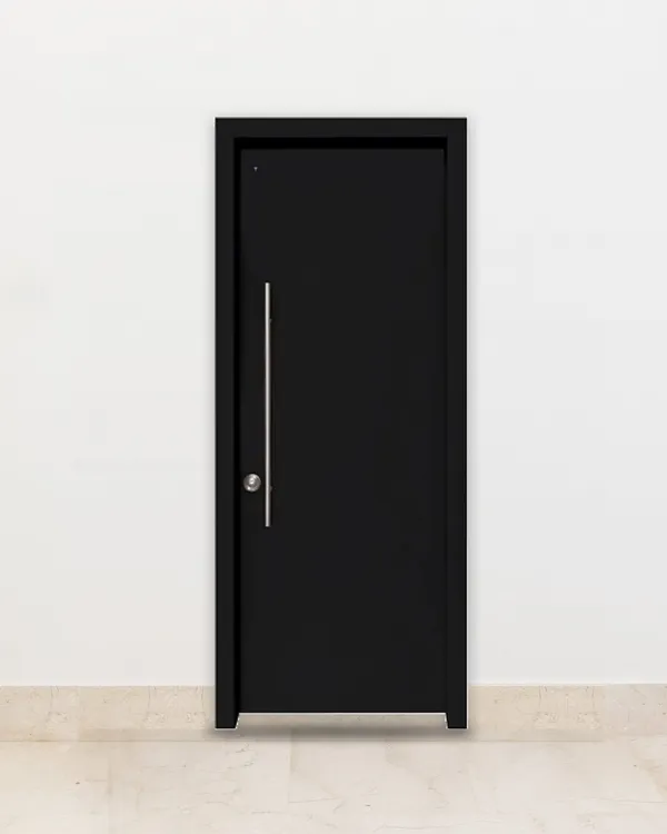 Minimal security door